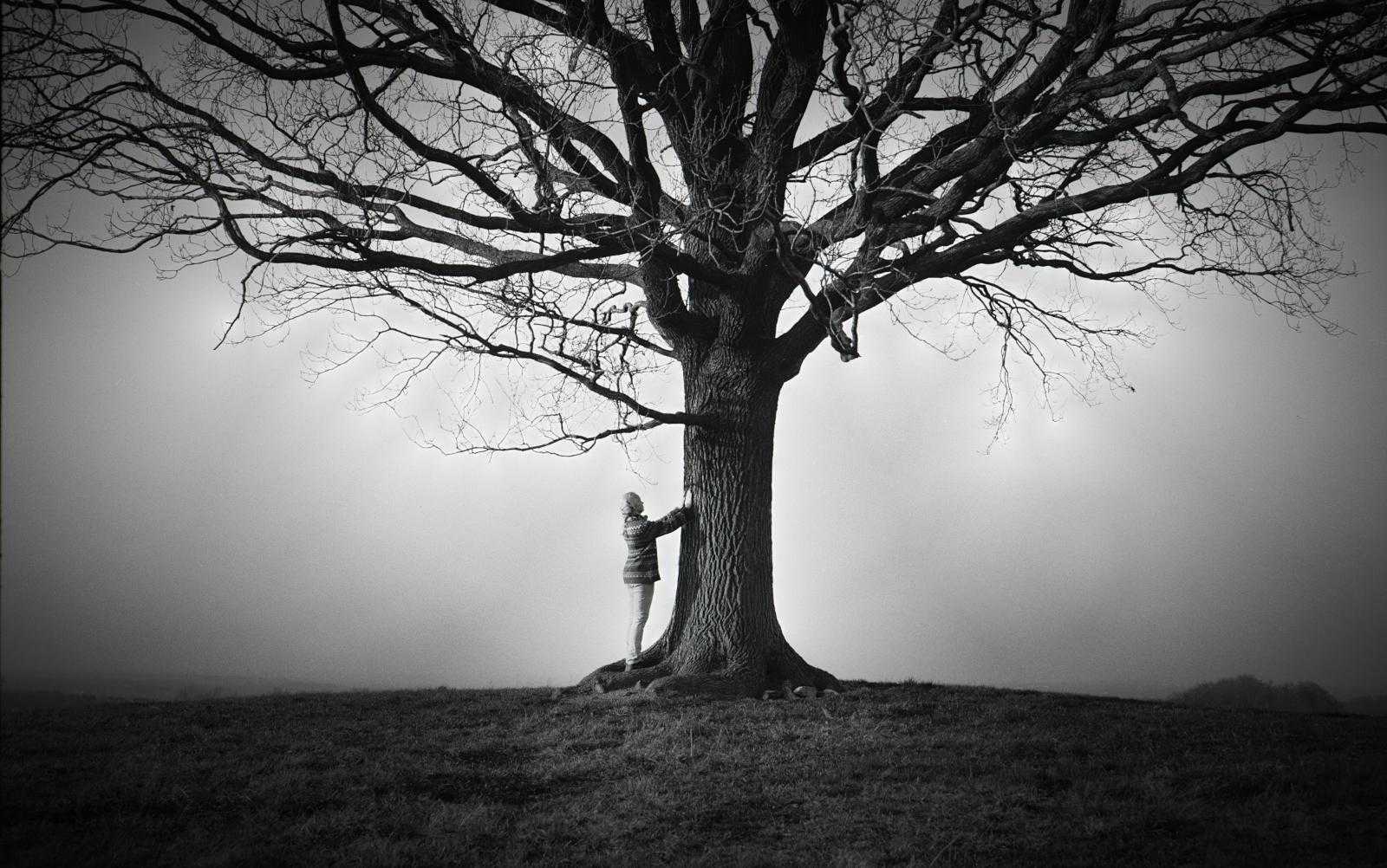 დენდროთერაპია – ხეებით მკურნალობა